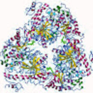 Meet your Posher, Aakash